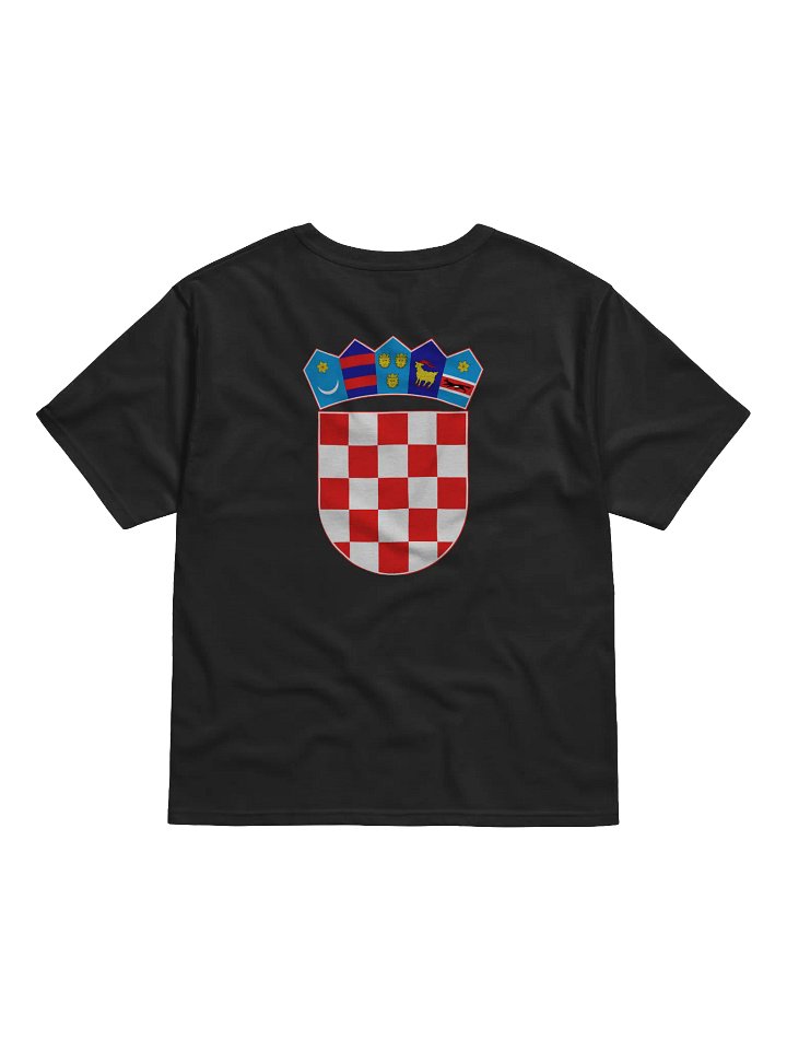 Ako ne znaš šta je bilo (Zadar) Champion Tee product image (2)