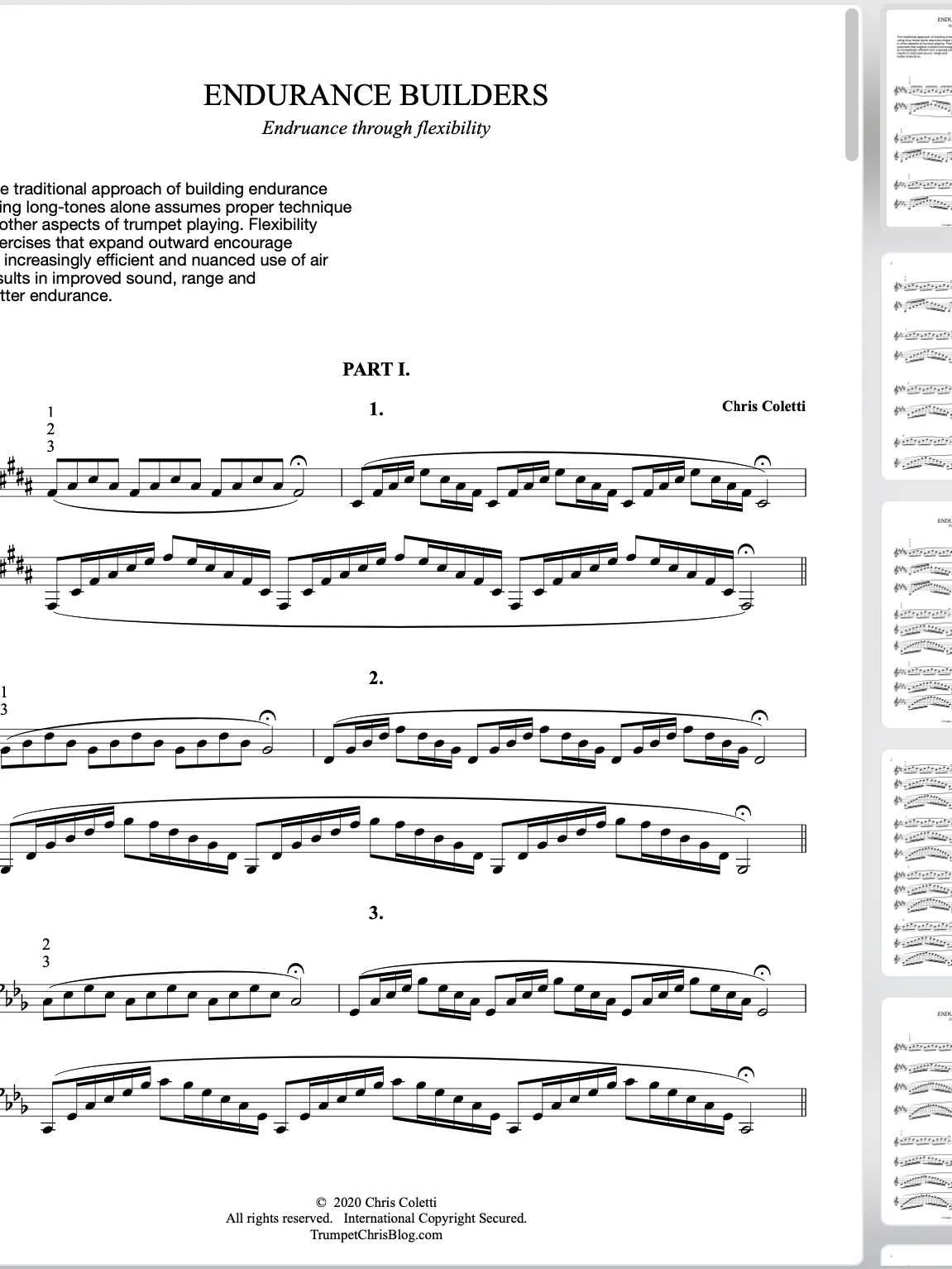 Endurance Builders - PARTS 1, 2 + 3 (8 pages) product image (1)