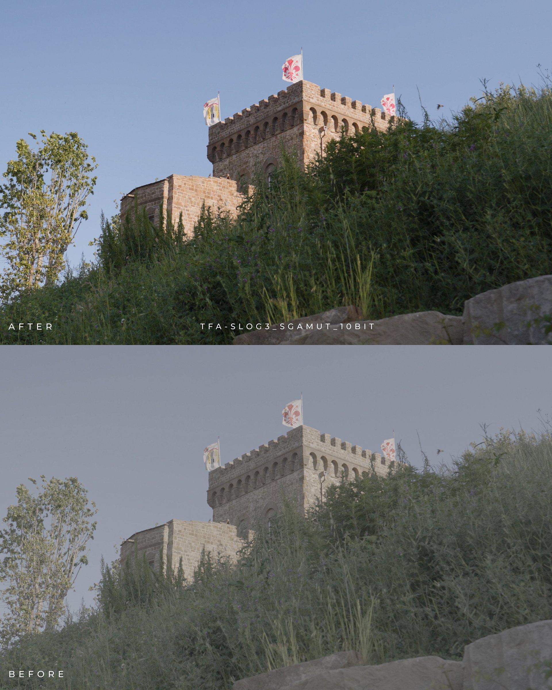 Utility - Sony Conversion Pack | 14 Conversion Luts product image (3)