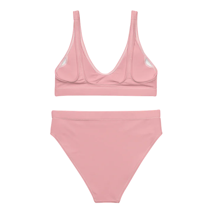 Bikini product image (2)