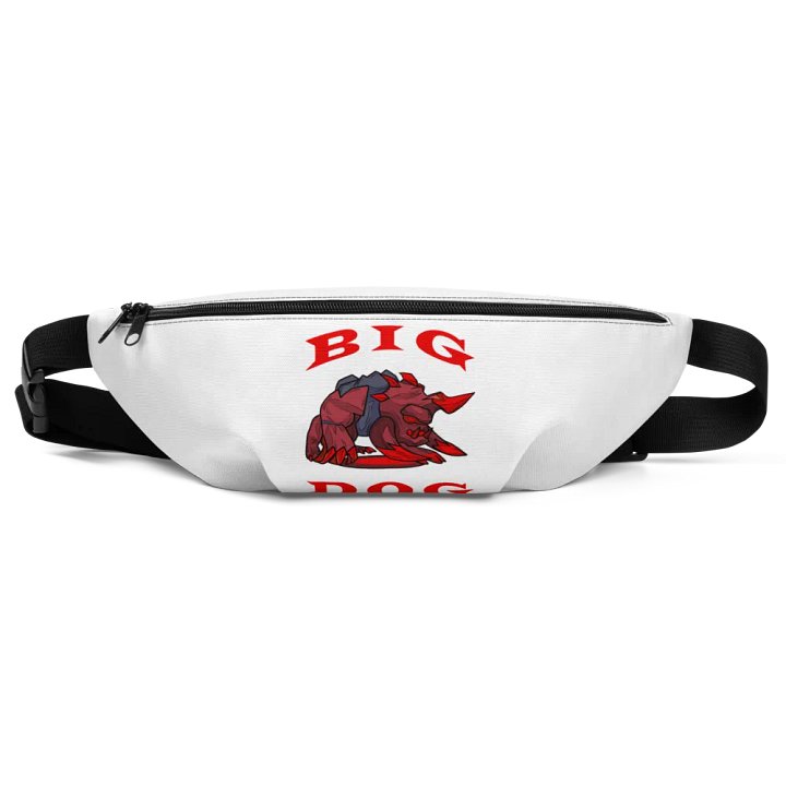 BIG DOG FANNY PACK product image (1)