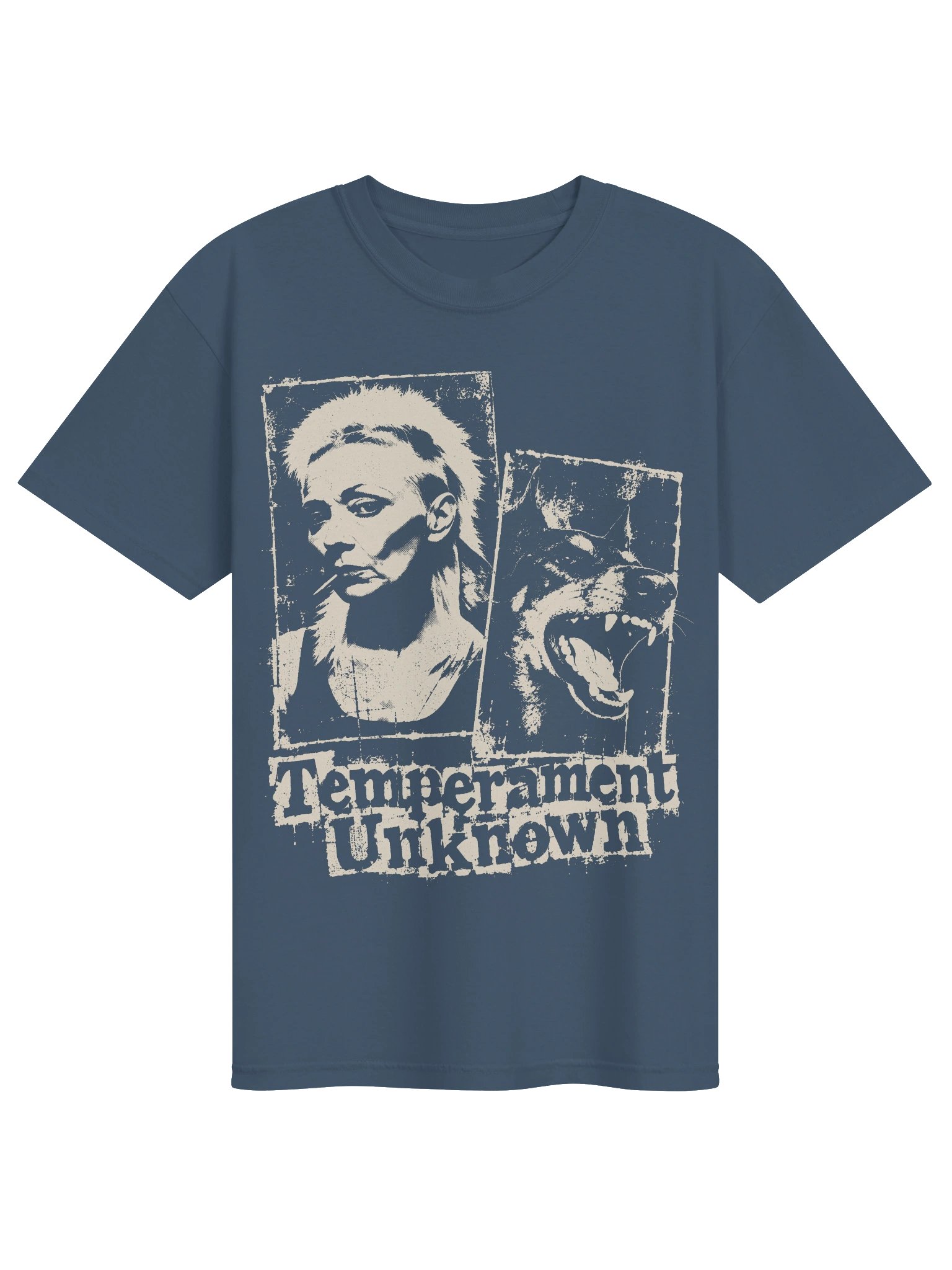 Temperament Unknown Heavyweight Vintage Graphic Tee product image (1)