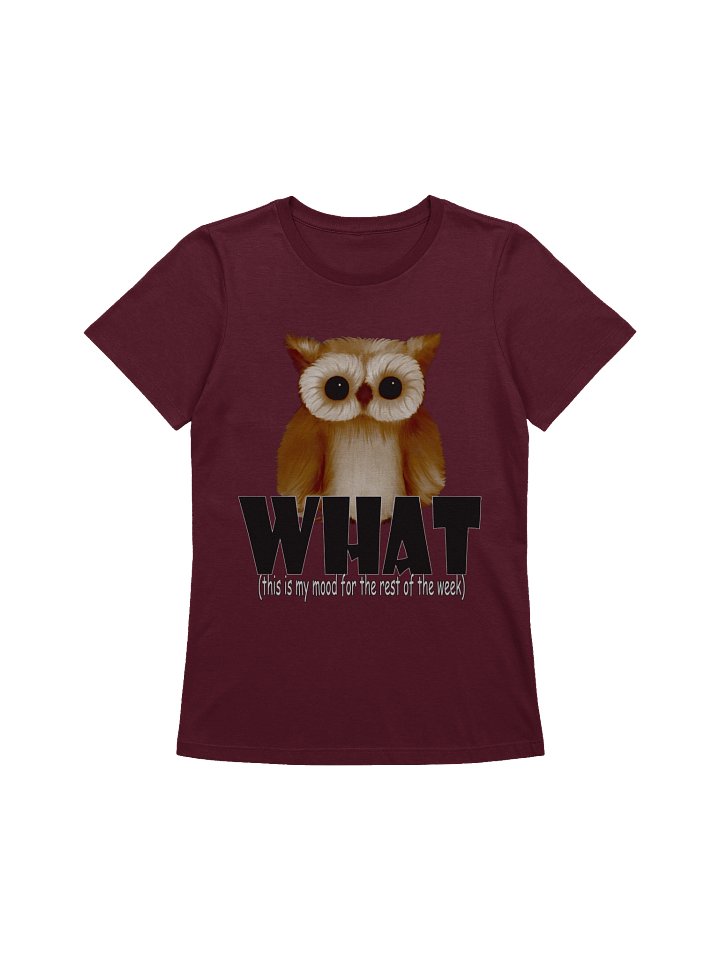 Owl "WHAT" T-Shirt. Women's Bella+Canvas Supersoft Relaxed-fit T-Shirt product image (1)
