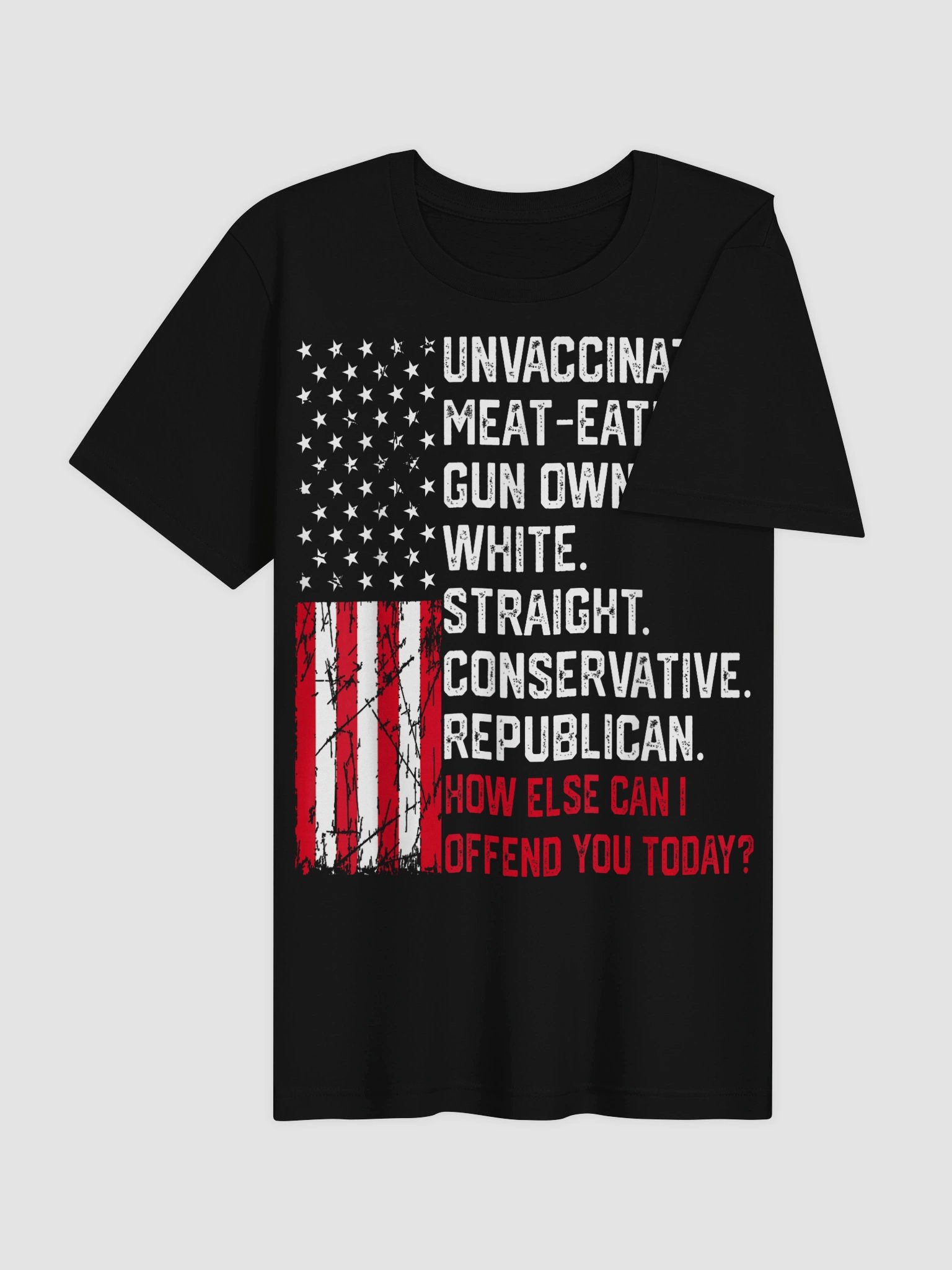 How Else Can I Offend You Today Political Statement T-Shirt product image (39)