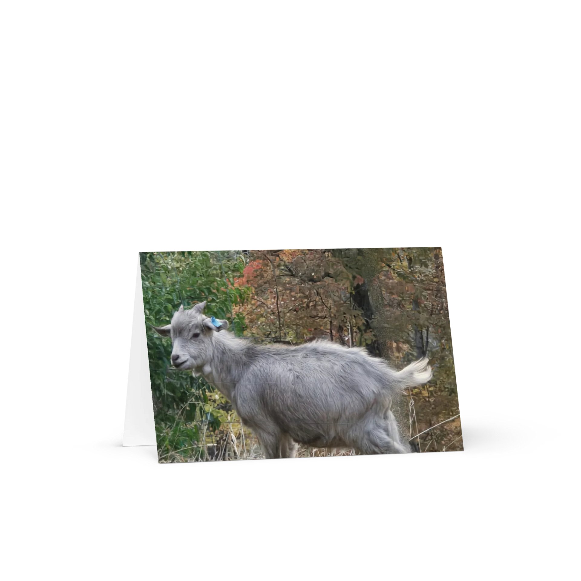 Autumn Goat Greeting Card (blank) product image (1)