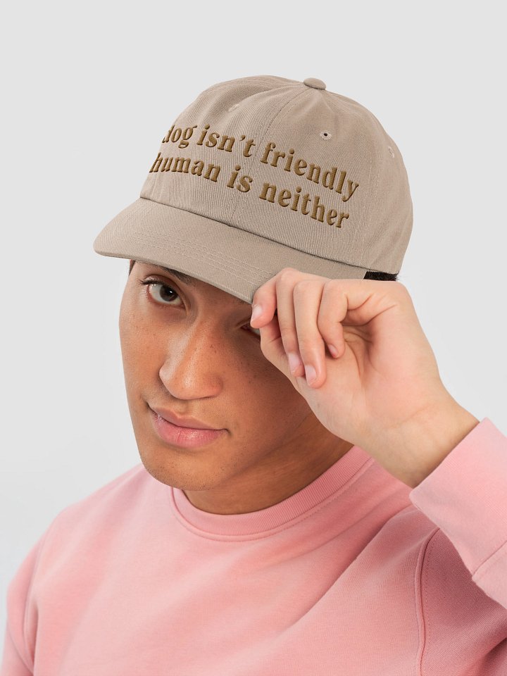 Dog Isn't Friendly. Human Is Neither (Embroidered) Low Contrast (Old Gold) Classic Dad Hat product image (2)