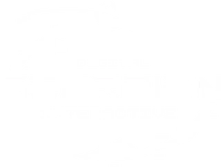 Digital Scorpion Interactive