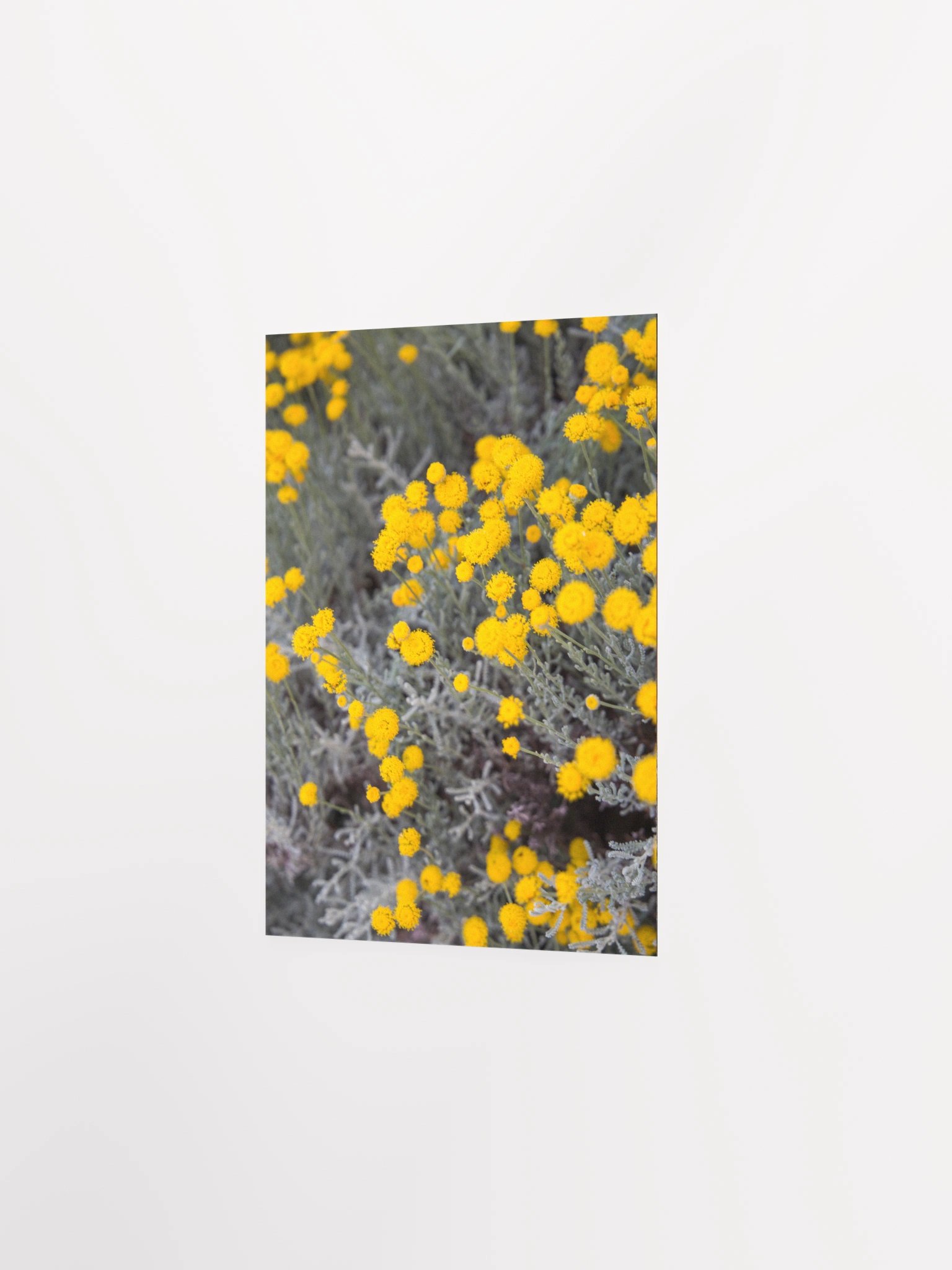 Flores amarillas - Enhanced Matte Paper Poster product image (5)