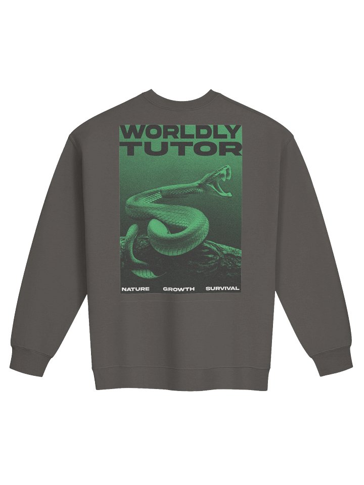 Worldly Tutor product image (1)