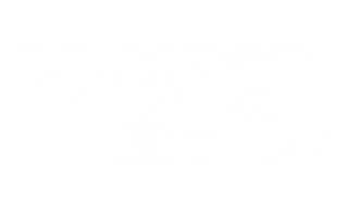 Project Vice