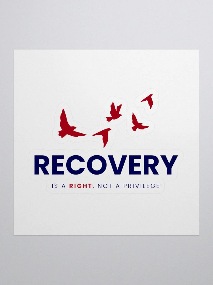 Recovery is a Right, Not a Privilege product image (1)
