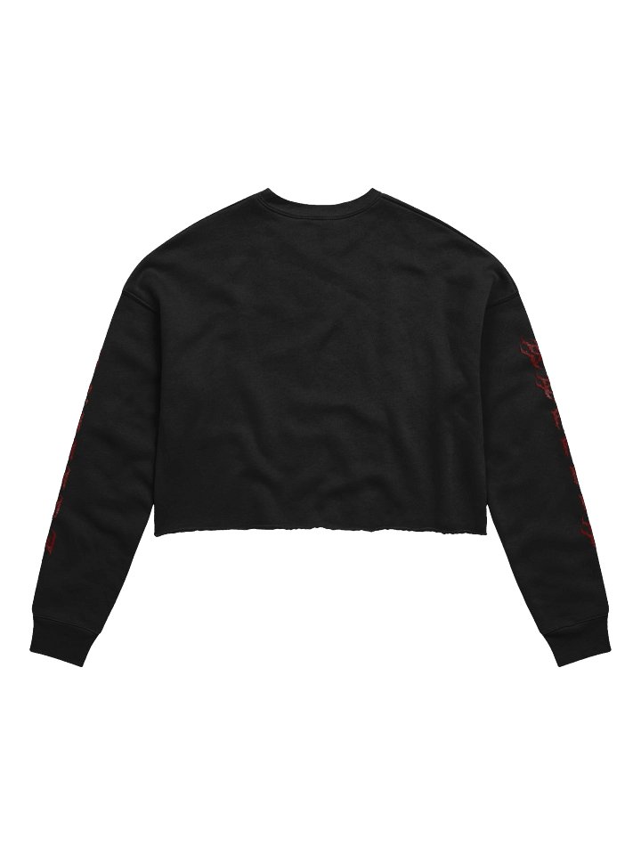 Sparrow Long Sleeve Crop Top product image (2)