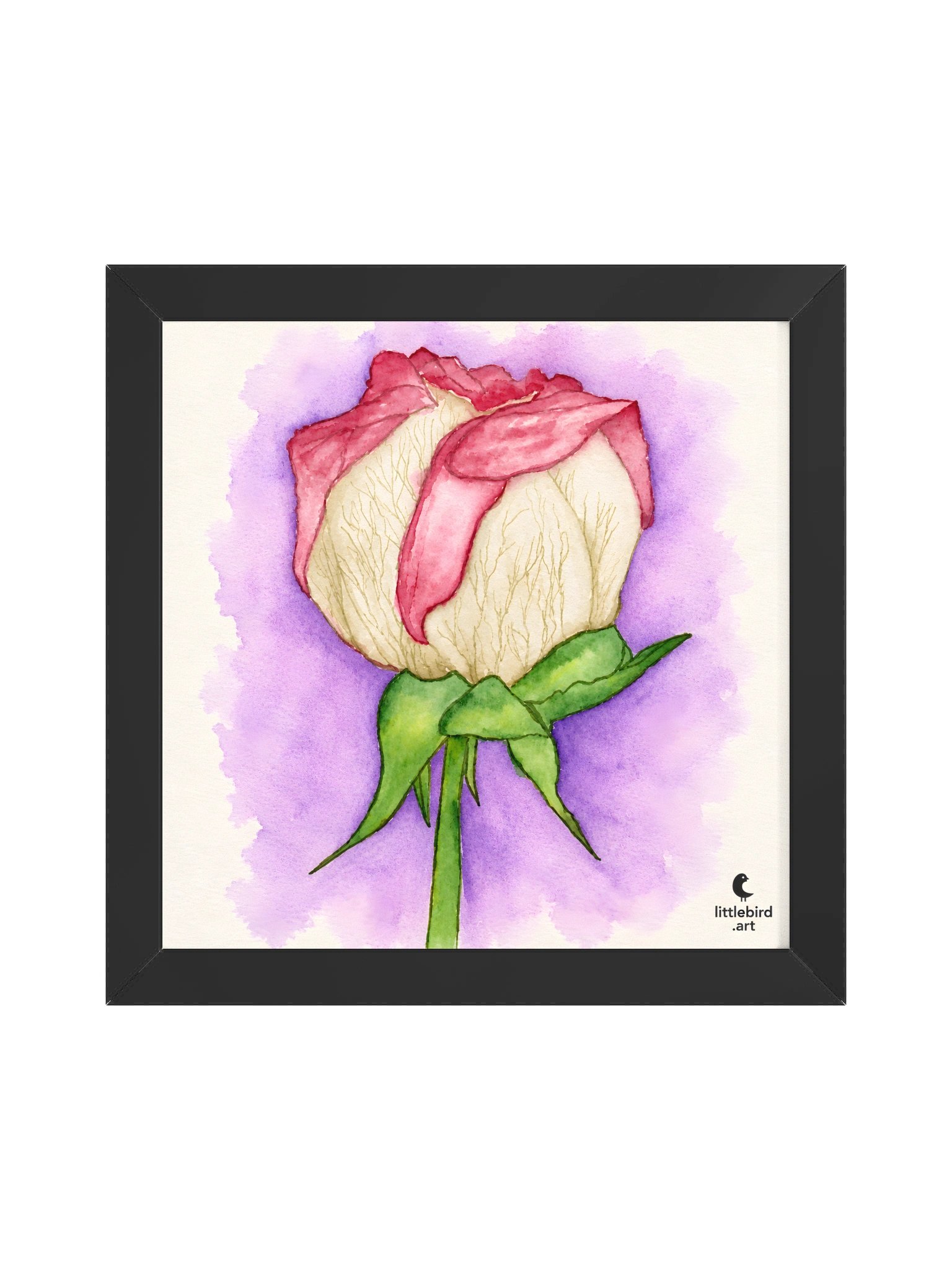 Pressed Memories product image (1)