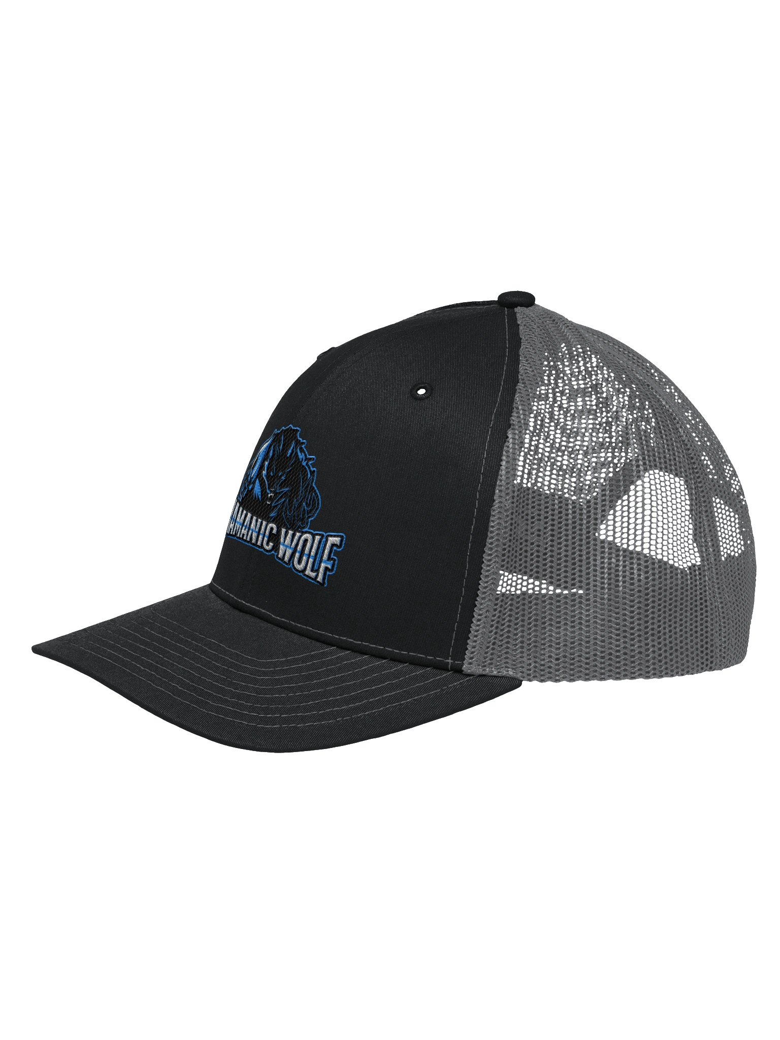 Logo Hat product image (2)
