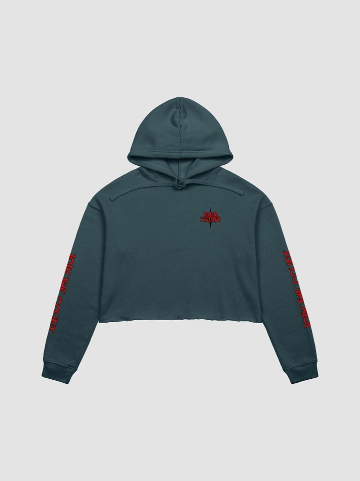 Join the Court Crop Hoodie product image (1)
