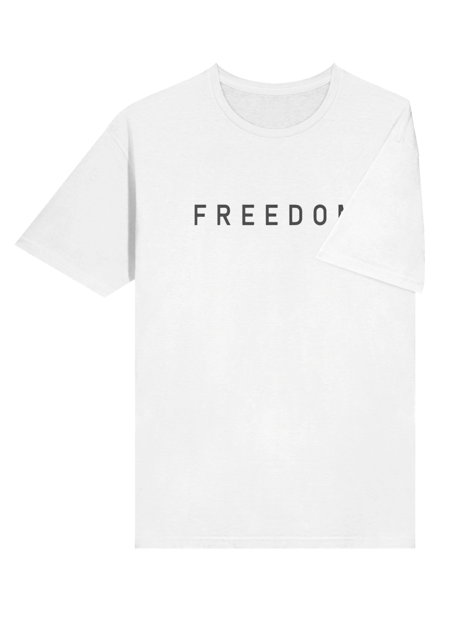 Charlie Kirk Freedom Shirt – Liberty Free Speech & the Pursuit of Truth product image (11)