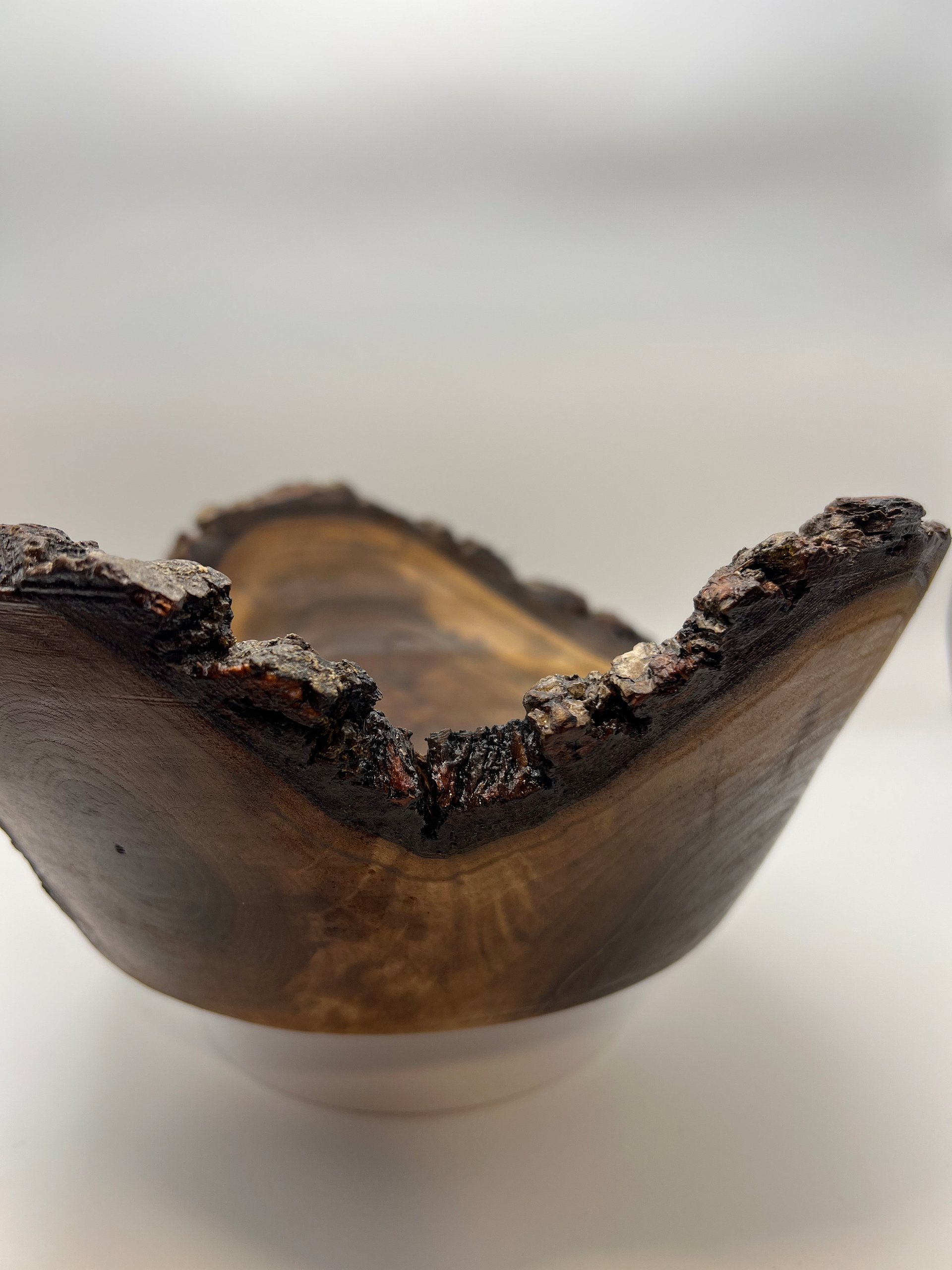 Sculptural Live-Edge Black Walnut "Tri-Corn" Vessel product image (3)
