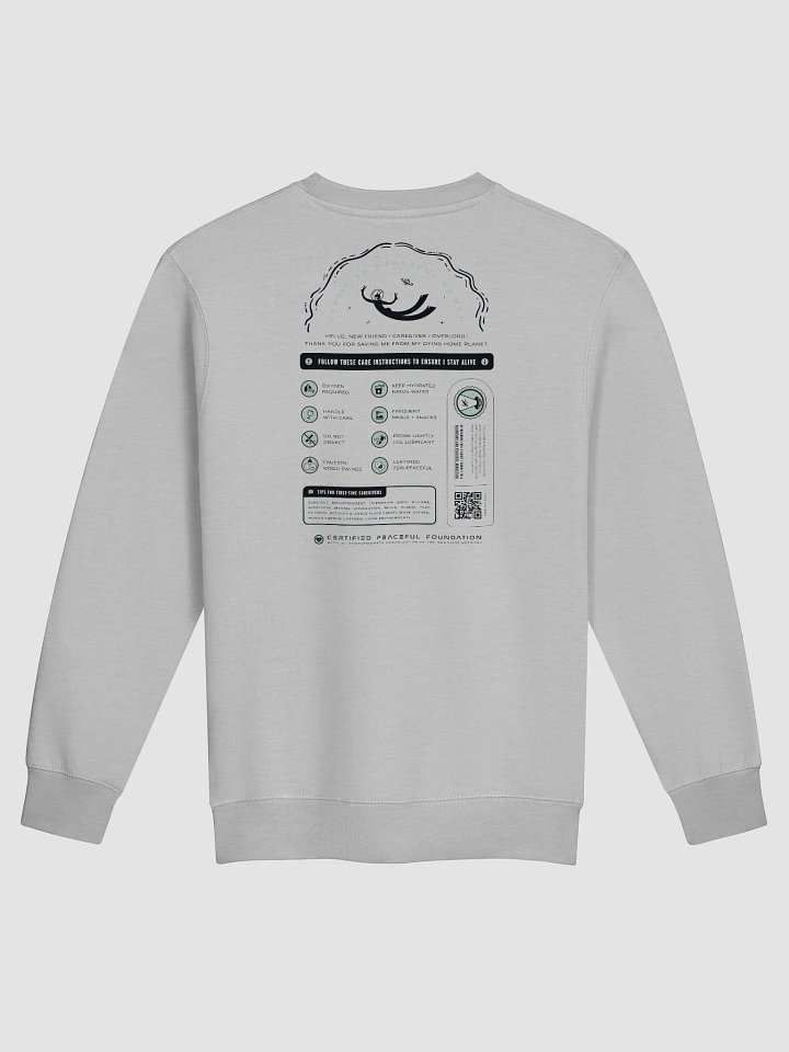 Certified Peaceful Sweatshirt (sage) product image (4)