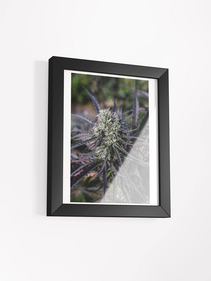 Royal Purple Cultivated Framed Poster Print product image (2)