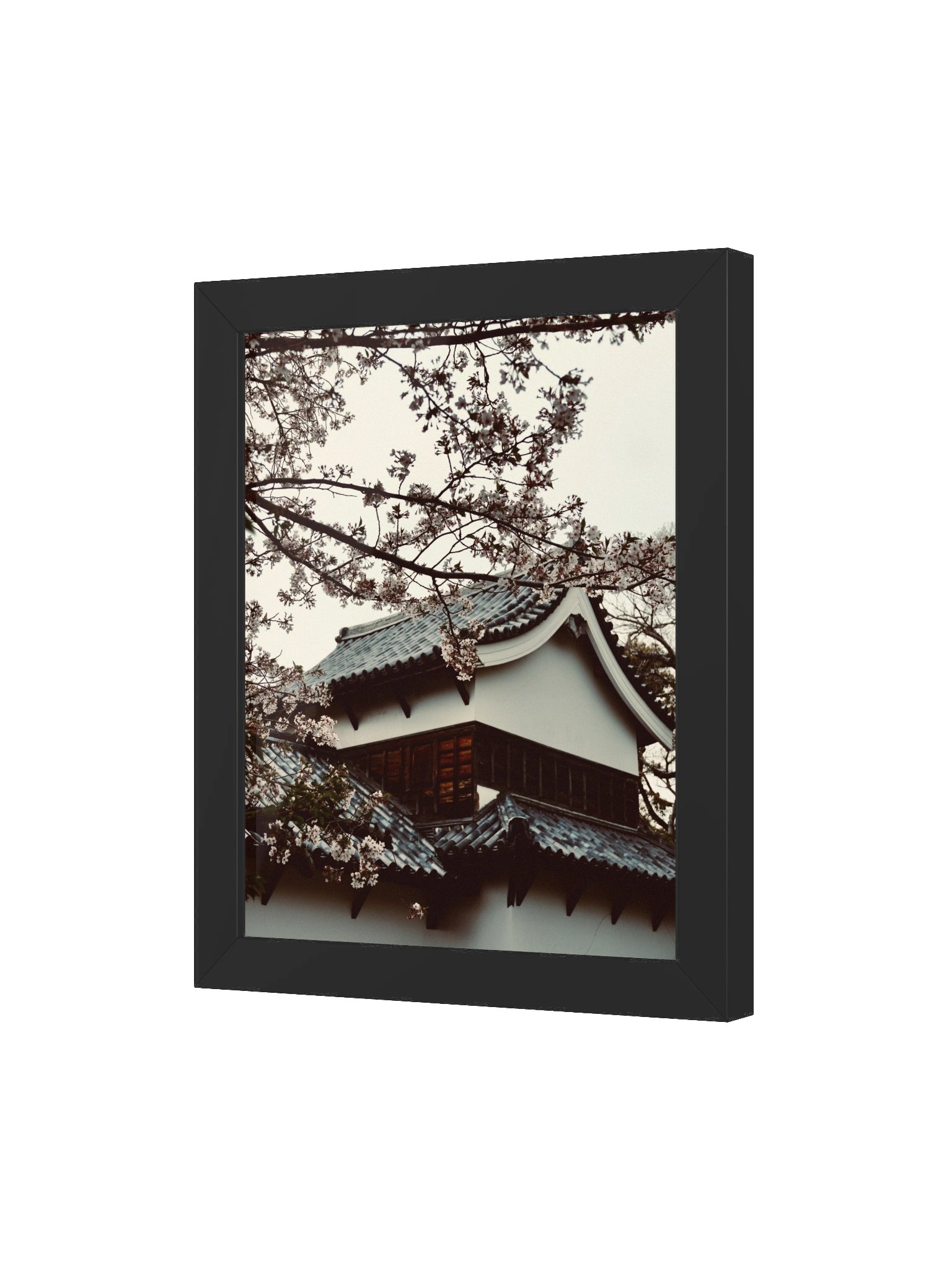 Fukuoka Sakura product image (44)