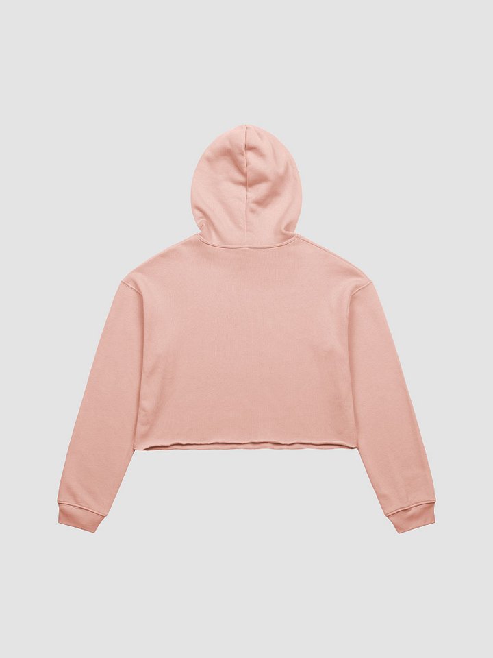 BABCO Fleece Crop Hoodie product image (14)