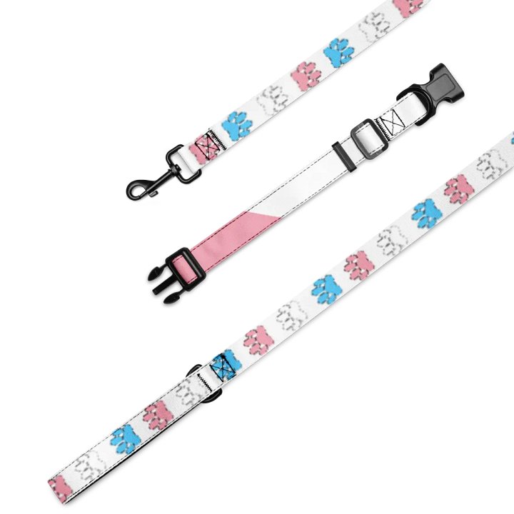 Trans Pride Collar and Leash product image (1)