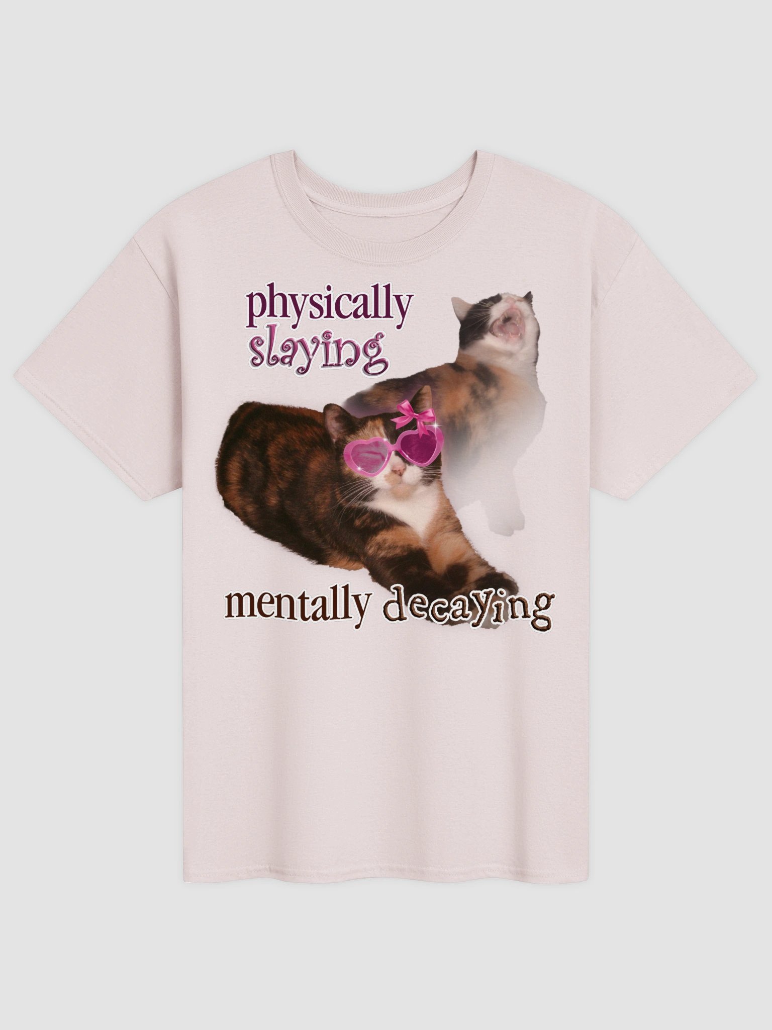Physically Slaying Mentally Decaying - Cat T-shirt product image (2)