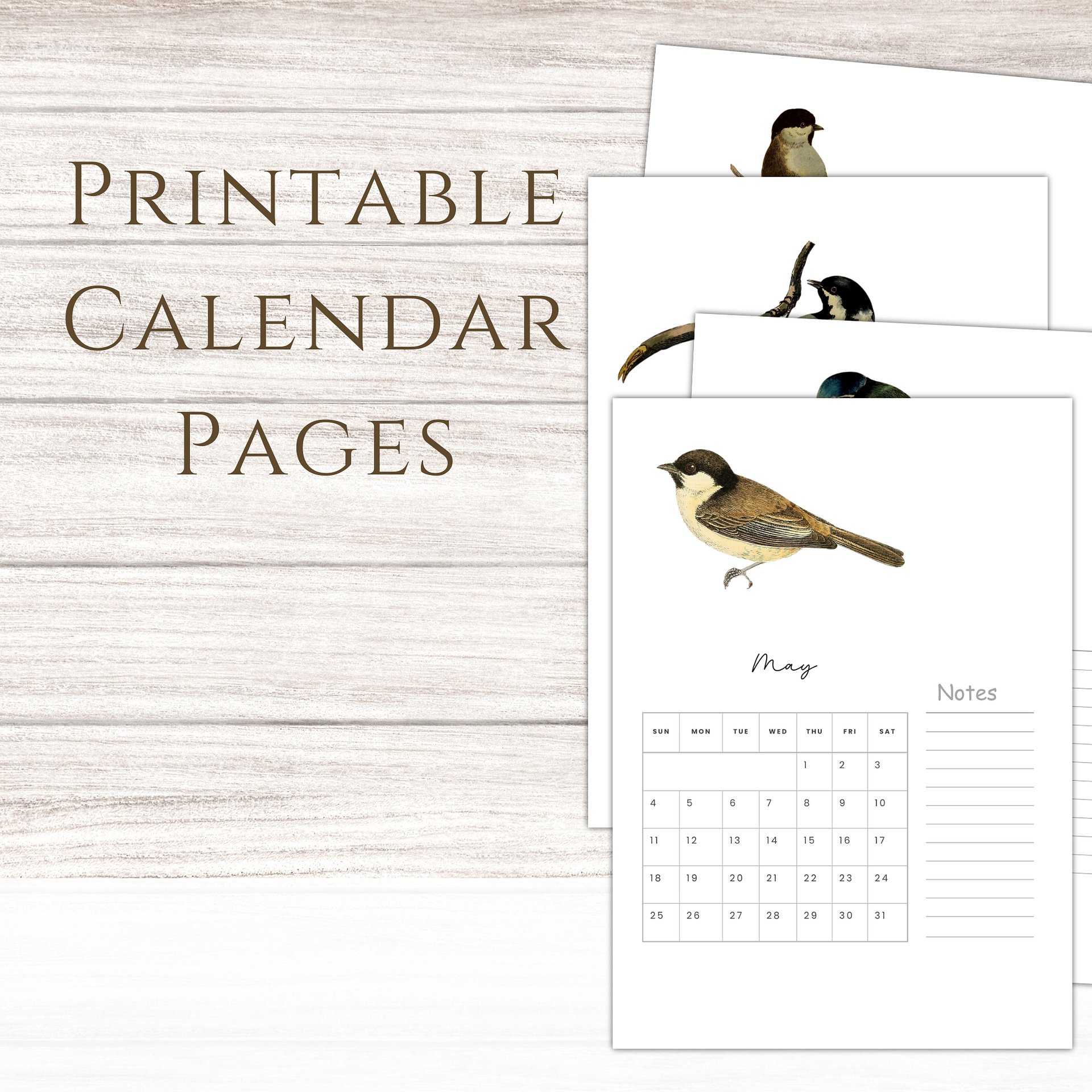 2025-2026 PDF Calendar: American Birds product image (1)