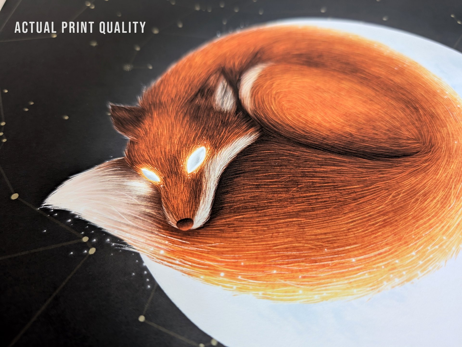 Red Fox on the Moon Art Print No.1 product image (7)