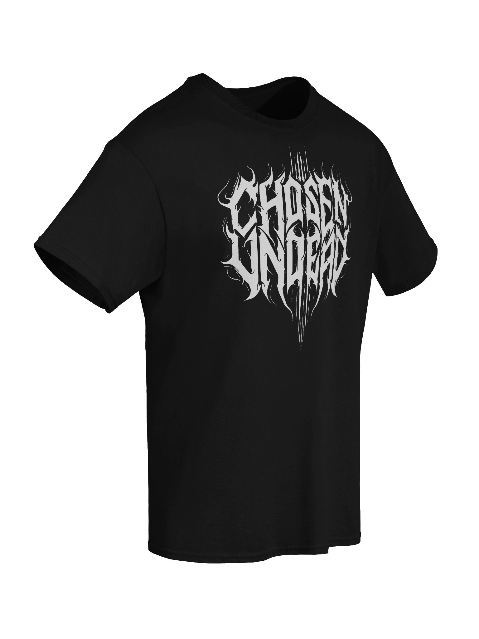 Logo 1 T-Shirt product image (6)