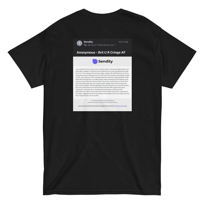 'H8 Mail' Heavyweight T-Shirt product image (1)