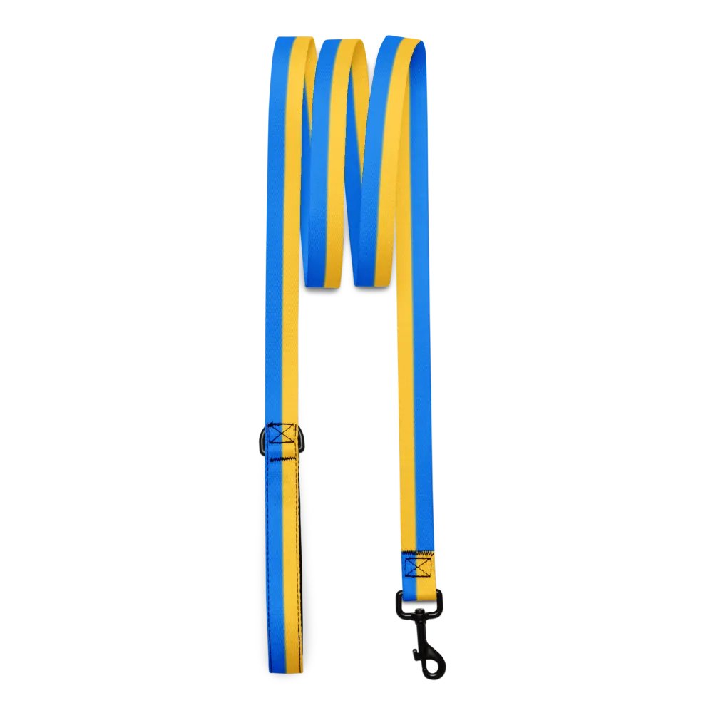 Sunset Stripes Pet Leash product image (3)