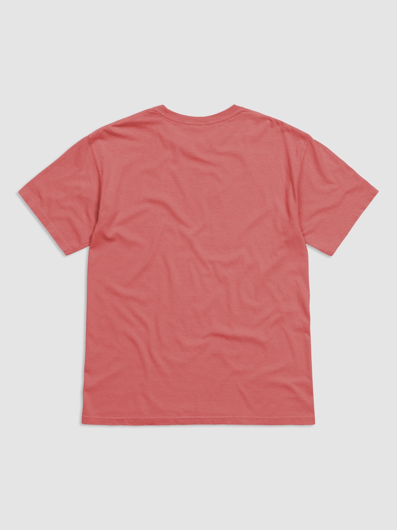 Never Diagnosed, Always Accused product image (10)