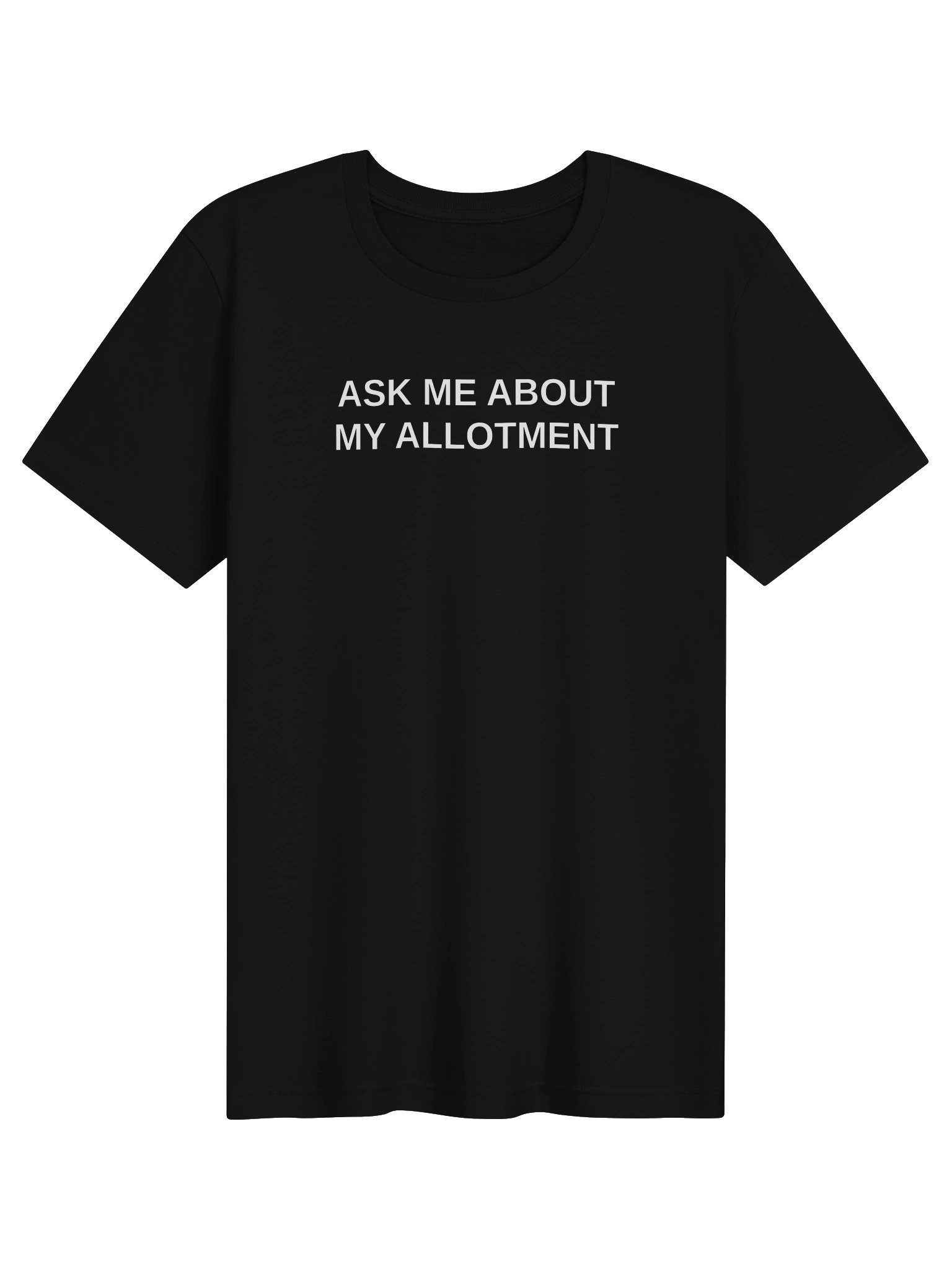 ASK ME ABOUT MY ALLOTMENT Tee product image (3)