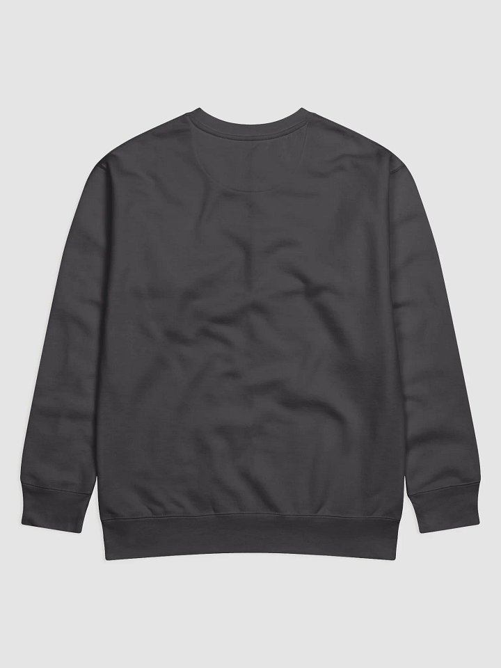 Little Rock problems Vol.2 Sweatshirt product image (4)