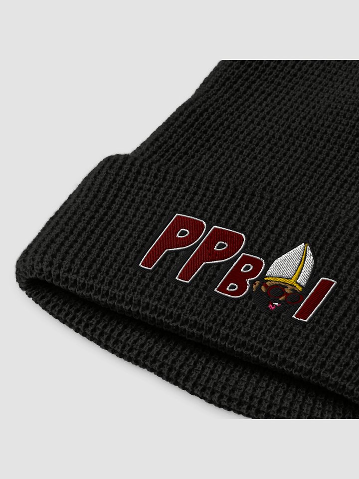 PPBoi Beanie product image (1)
