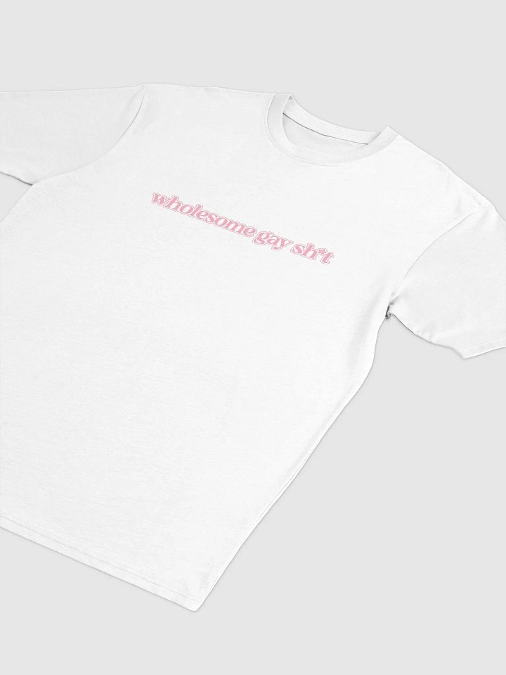 Wholesome Gay T product image (2)