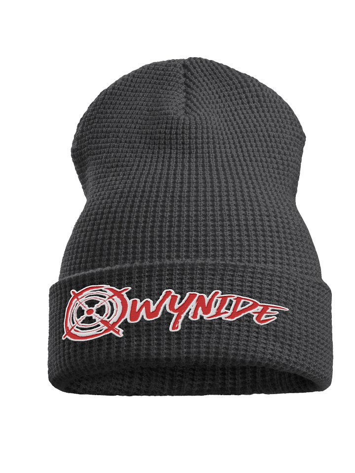 Represent Series Waffle Beanie - Qwynide product image (1)