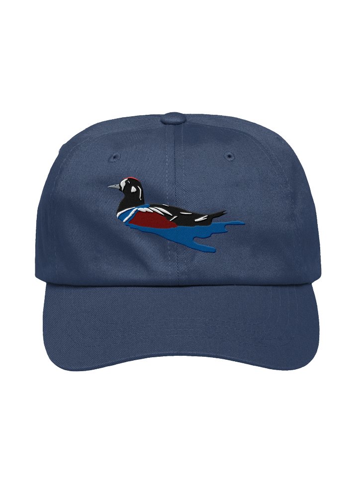 Harlequin Duck Printed Low Profile Baseball Cap | Waterfowl Cap product image (3)