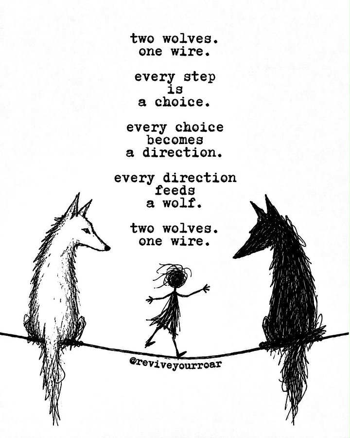 two wolves product image (1)