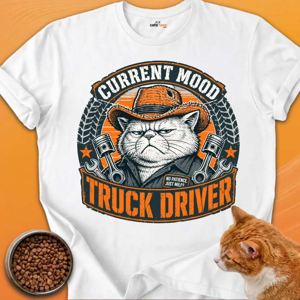 Truck Driver product image (2)