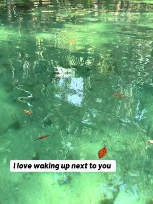 this is exactly why i can’t quit you #floridasprings #thewetterthebetter #parktok #floridalife 