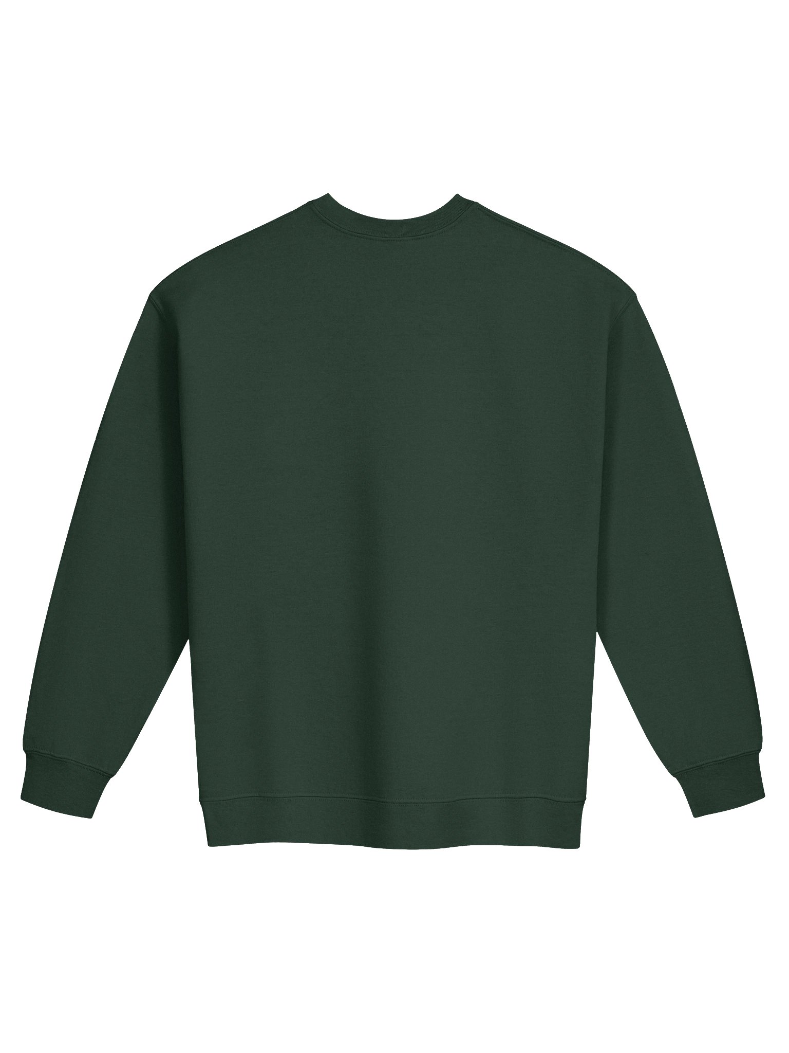 Embroidered Floral Crewneck Sweatshirt product image (14)