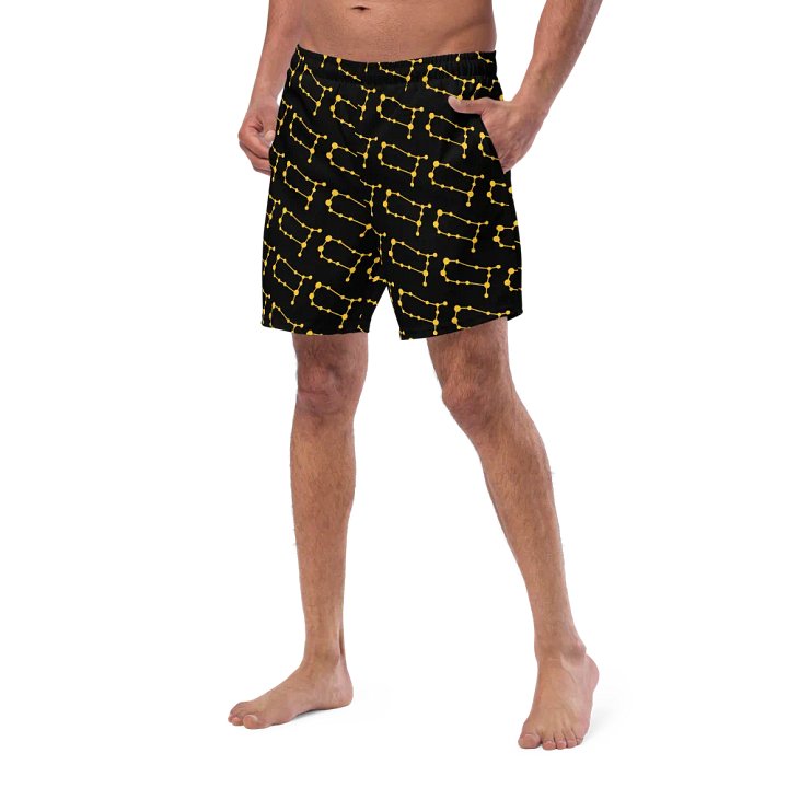 Sunburst Gemini Swim Shorts product image (2)
