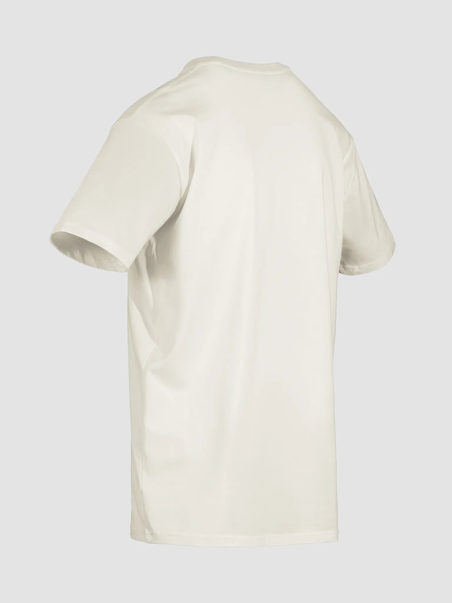 🪙 Silver Dragon T-Shirt – Guard the Dream product image (30)