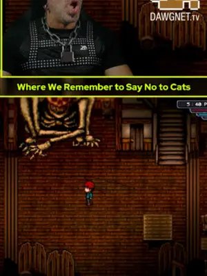 Cats are actually okay tho, mostly kinda sorta. 😄 #videogames #gaming #twitch #streamer #welcometoelderfield