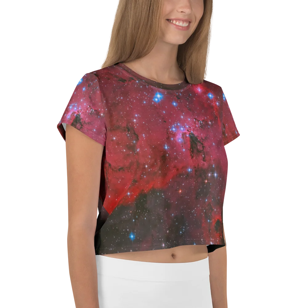 LH 95 Crop Top product image (4)