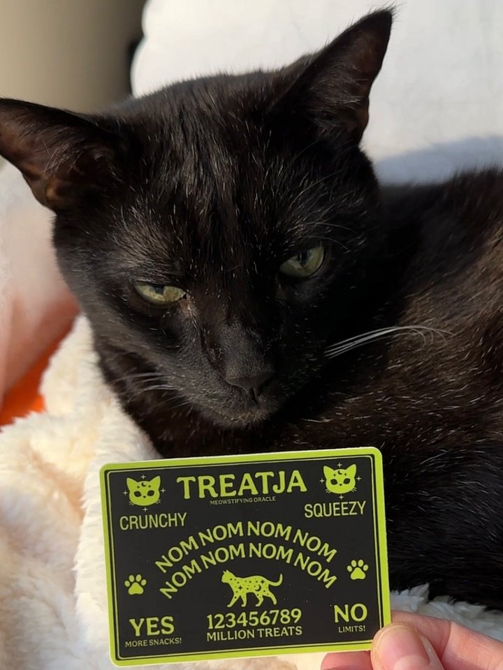 Treatja board sticker product image (2)