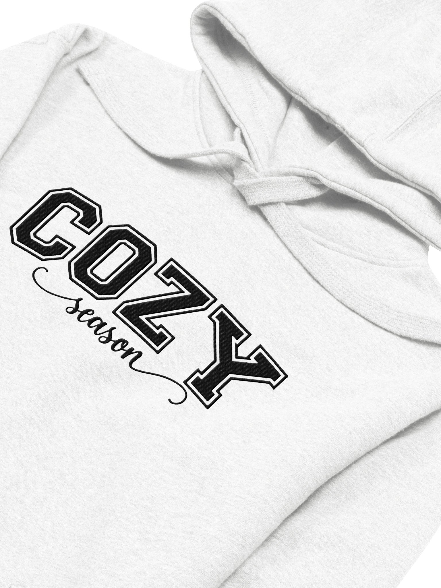 Cozy Season Embroidered Hoodie product image (10)