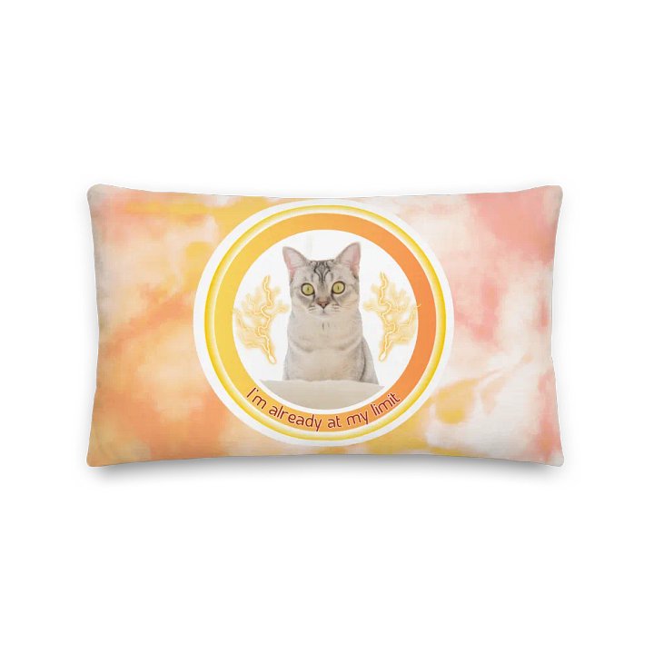 KC, At My Limit (kitty), Tie-dye Piilow product image (2)